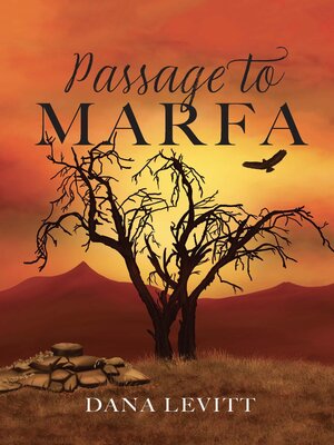 cover image of Passage to Marfa